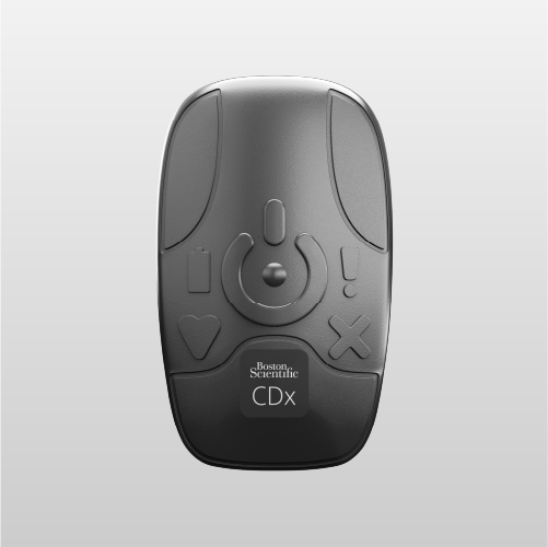 BodyGuardian product image