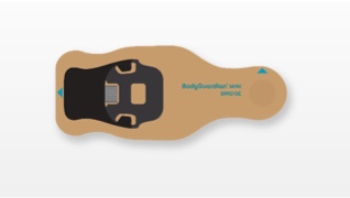 BodyGuardian Bridge