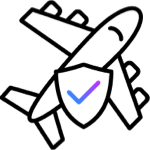 Icon of a plane with a tick